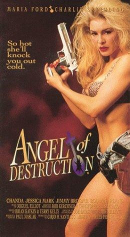 Angel Of Destruction (1994) afişi Angel Of Destruction (1994) afişi