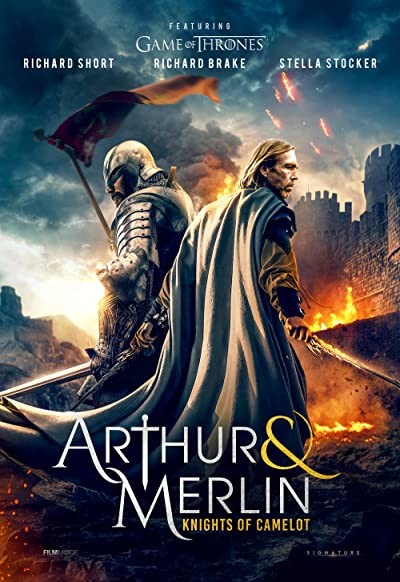 Arthur & Merlin: Knights of Camelot (2020) afişi Arthur & Merlin: Knights of Camelot (2020) afişi