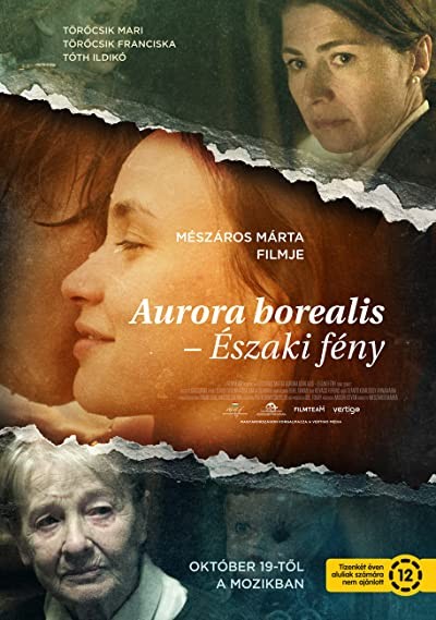 Aurora Borealis: Északi fény  (2017) afişi Aurora Borealis: Északi fény  (2017) afişi