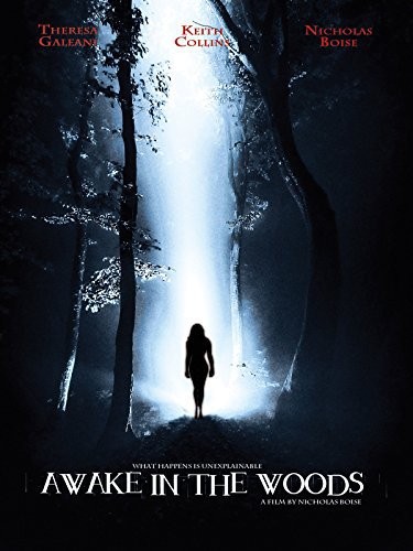Awake in the Woods (2015) afişi Awake in the Woods (2015) afişi