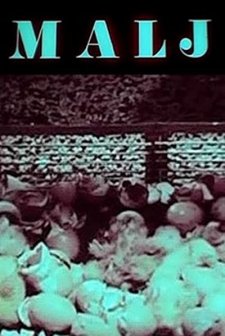 Balyoz (1977) afişi