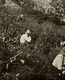 Battle In The Virginia Hills (1912) afişi