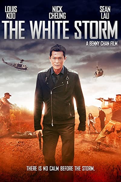 Beyaz Fırtına (2013) afişi Beyaz Fırtına (2013) afişi