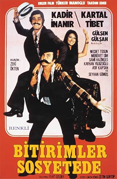 Bitirimler Sosyetede (1973) afişi Bitirimler Sosyetede (1973) afişi