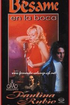 Bésame En La Boca (1995) afişi