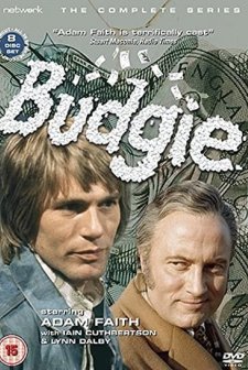 Budgie (1971) afişi