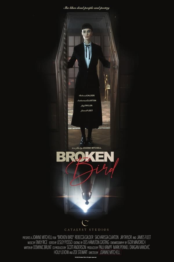 Broken Bird (2024) afişi Broken Bird (2024) afişi