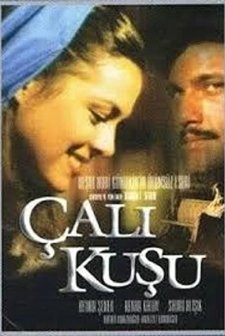 Çalıkuşu (1986) afişi