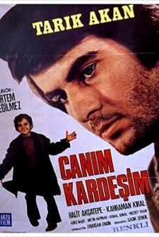 Canım Kardeşim (1973) afişi