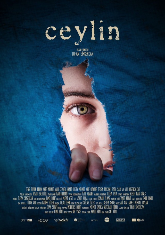 Ceylin (2022) afişi Ceylin (2022) afişi