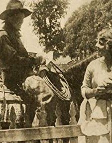 Chip Of The Flying U (1914) afişi