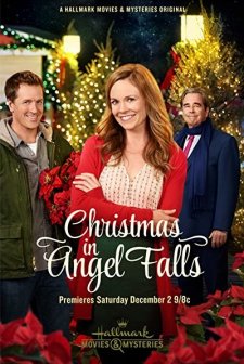 Christmas in Angel Falls (2017) afişi