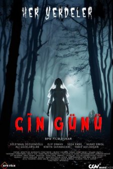 Cin Günü