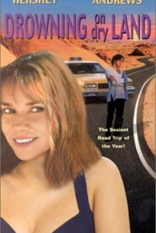 Çöl Macerası (1999) afişi