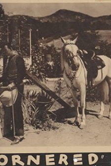 Cornered (') (1932) afişi