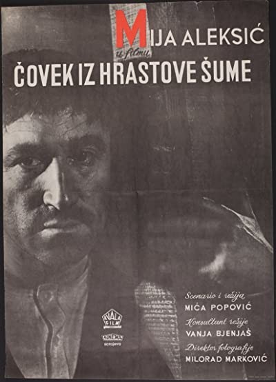 Covek Iz Hrastove Sume (1964) afişi