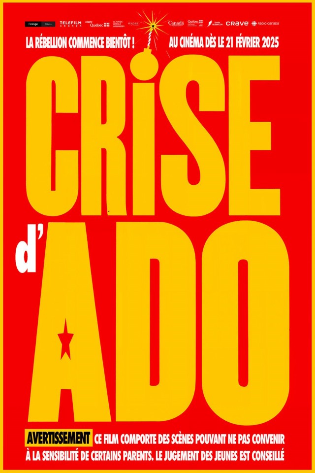 Crise d'ado (2025) afişi Crise d'ado (2025) afişi