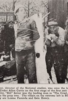 Cruel, Cruel World! (1914) afişi