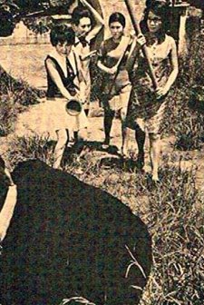 Dan Shan Nu Long (1970) afişi