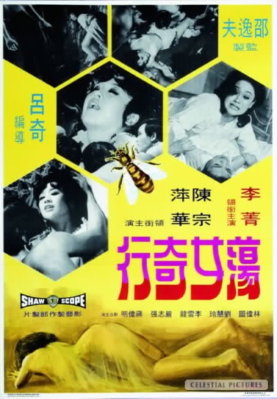 Dang Nu Ji Hang (1973) afişi Dang Nu Ji Hang (1973) afişi