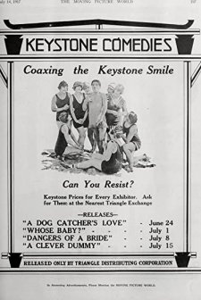 Dangers Of A Bride (1917) afişi