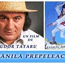 Danila Prepeleac (1996) afişi