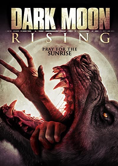 Dark Moon Rising (2015) afişi Dark Moon Rising (2015) afişi