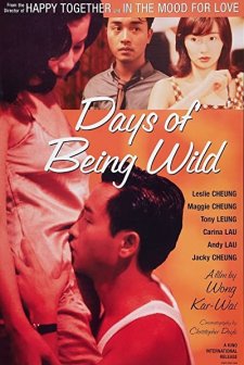 Days of Being Wild (1990) afişi