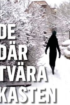 De Där Tvära Kasten (2008) afişi