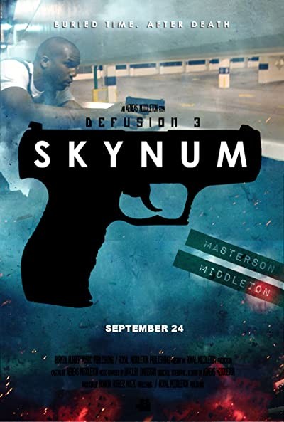 Defusion 3: Skynum (2013) afişi Defusion 3: Skynum (2013) afişi