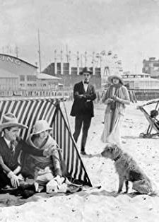 Desert Love (1920) afişi