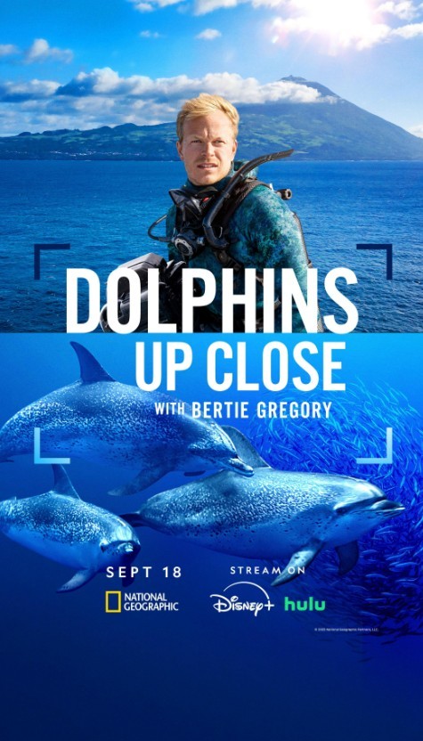 Dolphins Up Close with Bertie Gregory (2025) afişi