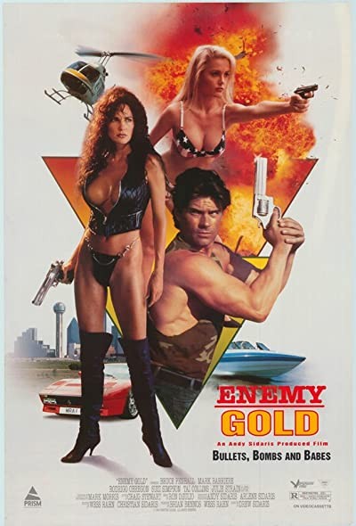 Düşman Bölge (1993) afişi Düşman Bölge (1993) afişi