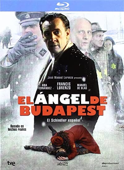 El ángel de Budapest (2011) afişi El ángel de Budapest (2011) afişi