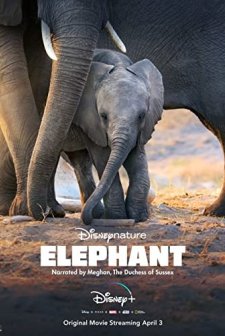 Elephant (2020) afişi