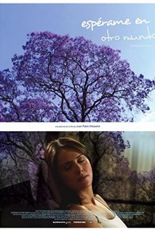 Espérame En Otro Mundo (2007) afişi