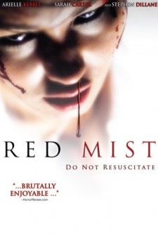 Kırmızı Sis (2008) afişi