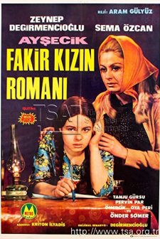 Fakir Kızın Romanı (1969) afişi