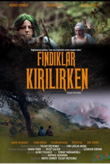 Fındıklar Kırılırken (2018) afişi