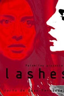 Flashes (2014) afişi