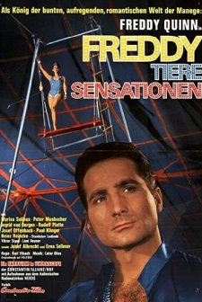 Freddy, Tiere, Sensationen (1964) afişi