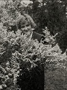 Gambier's Advocate (1915) afişi