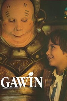 Gawin (1991) afişi