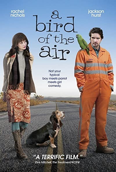 Gökte Bir Kuş (2011) afişi Gökte Bir Kuş (2011) afişi