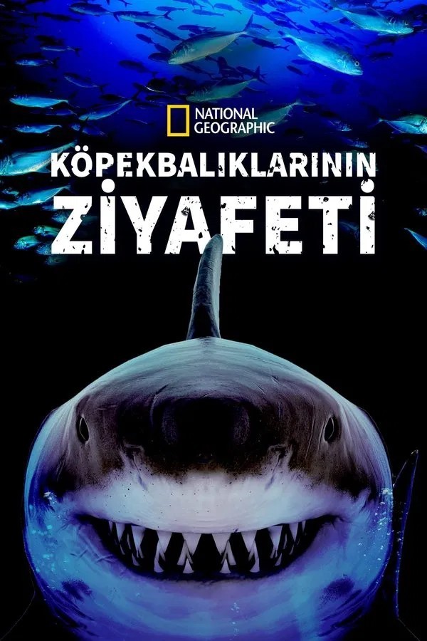 Great Shark Chow Down (2019) afişi Great Shark Chow Down (2019) afişi