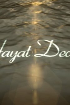 Hayat Dediğin (2013) afişi