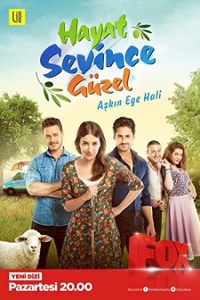 Hayat Sevince Güzel (2016) afişi