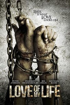 Hayatımın Aşkı (2013) afişi