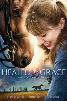 Healed by Grace 2 (2018) afişi