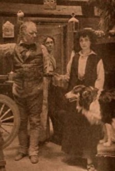 Her Mother's Wedding Gown (1910) afişi